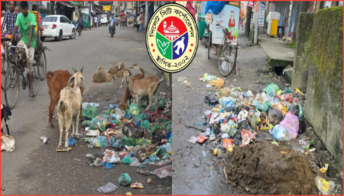 সিলেটে বর্জ্য ব্যবস্থাপনায় চরম অব্যবস্থা সিলেটে বর্জ্য ব্যবস্থাপনায় চরম অব্যবস্থা