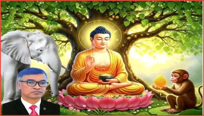 মধু পূর্ণিমা : বন্যপ্রাণীর দান ও সেবায় মানবতার শিক্ষা  মধু পূর্ণিমা : বন্যপ্রাণীর দান ও সেবায় মানবতার শিক্ষা