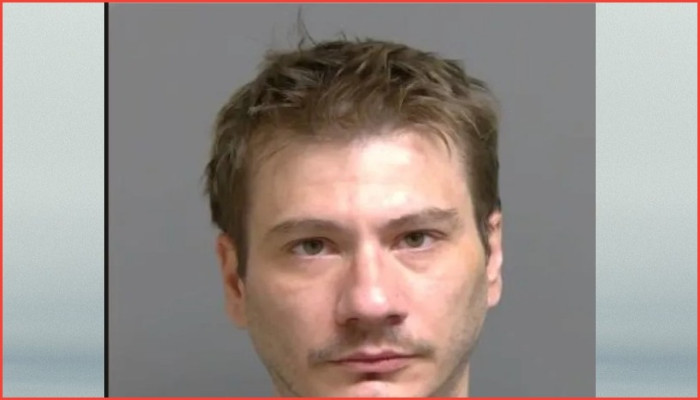 রোজভিলে শিশু পর্নোগ্রাফির অভিযোগে এক ব্যক্তি গ্রেপ্তার