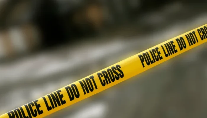 ডেট্রয়েটের এলমউড পার্কের কাছে গুলিতে নিহত ১