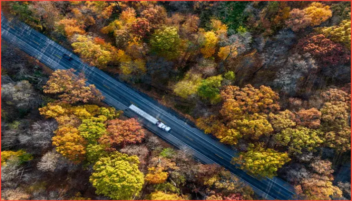 দক্ষিণ-পূর্ব মিশিগানে এই সপ্তাহান্তে তুষারপাতের সম্ভাবনা