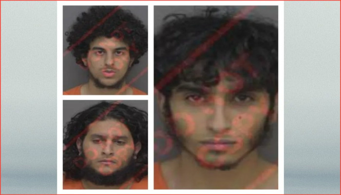 হ্যালোইন সন্ত্রাস মামলায় ডিয়ারবর্নের তিনজন অভিযুক্ত