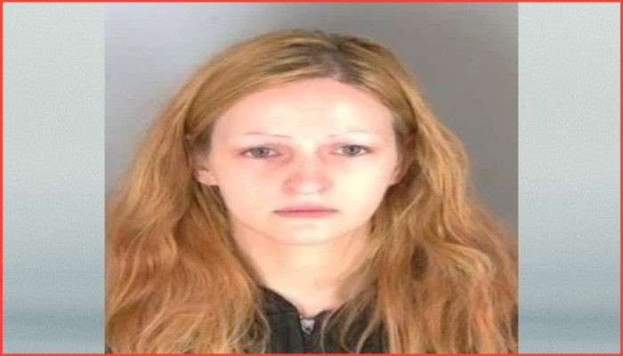 প্রেমিককে ১৪ বার ছুরিকাঘাত : ক্লিনটন টাউনশিপের নারী দণ্ডিত