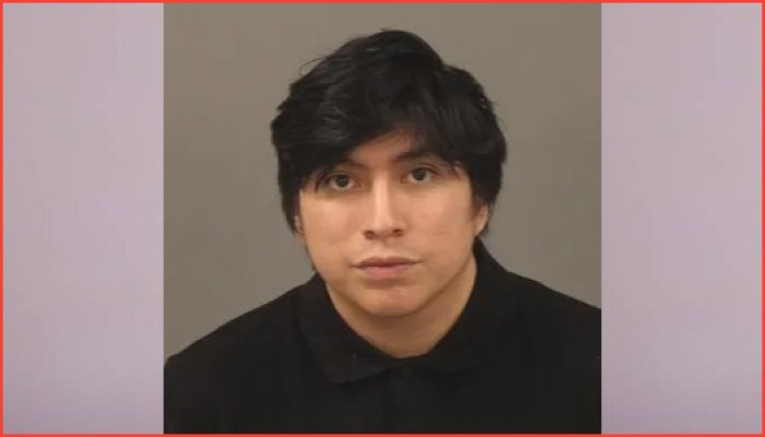 রোজভিলের কিশোরীর সঙ্গে যৌন অপরাধে যুবকের কারাদণ্ড