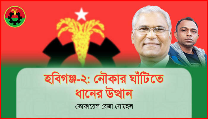 হবিগঞ্জ-২ এ নৌকার ঘাঁটিতে ধানের উত্থান