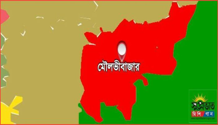 মৌলভীবাজারে কর্মজীবী নারীকে অপহরণের চেষ্টা