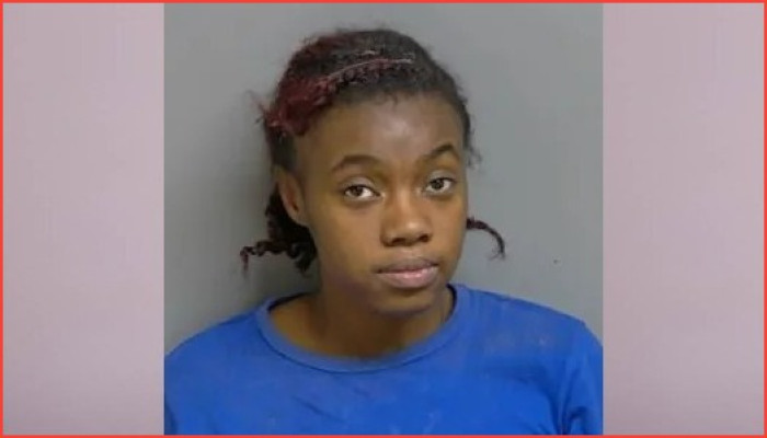 কুকুর নির্যাতনের অভিযোগে ইস্টপয়েন্টের তরুণী বিচারের মুখোমুখি