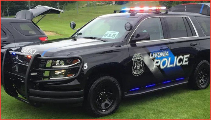 ছুরিকাঘাতের ঘটনায় লিভোনিয়া পুলিশ কর্মকর্তা  আহত, সন্দেহভাজন গ্রেপ্তার