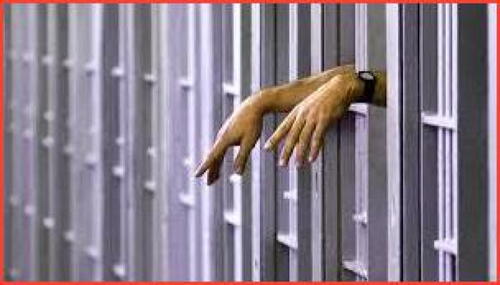 মিশিগানের কিশোরীকে যৌন নির্যাতনের দায়ে ভার্জিনিয়ার এক ব্যক্তির কারাদণ্ড