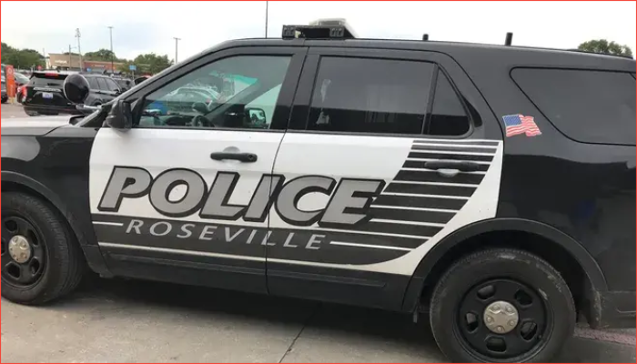 রোজভিলে সড়ক দুর্ঘটনা, ৮৫ বছর বয়সী নারীর মৃত্যু