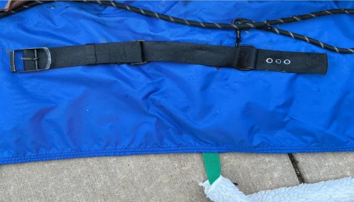 আবর্জনার ব্যাগে কলারসহ কুকুরের মরদেহ, তদন্তে ক্লিনটন কাউন্টি