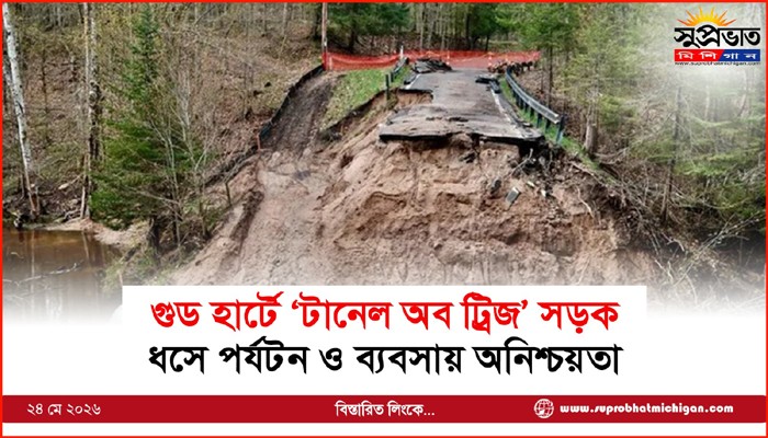 গুড হার্টে ‘টানেল অব ট্রিজ’ সড়ক ধসে পর্যটন ও ব্যবসায় অনিশ্চয়তা