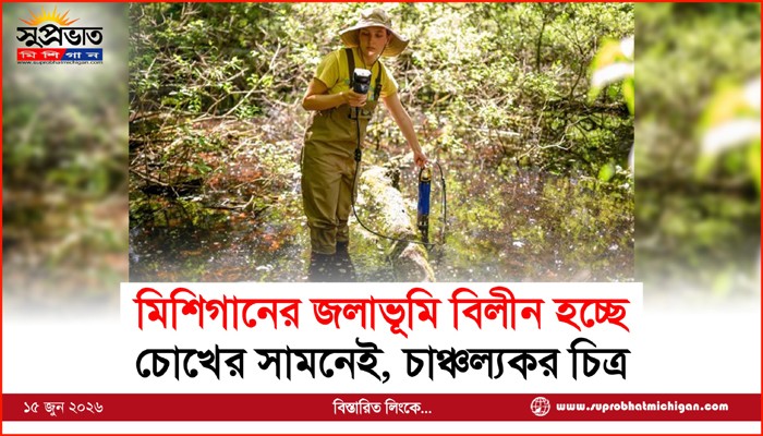 মিশিগানের জলাভূমি বিলীন হচ্ছে চোখের সামনেই, চাঞ্চল্যকর চিত্র