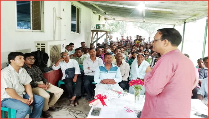 চা শিল্পকে কৃষি শিল্পের মর্যাদায় নিতে কাজ চলছে : সালেহ উদ্দিন