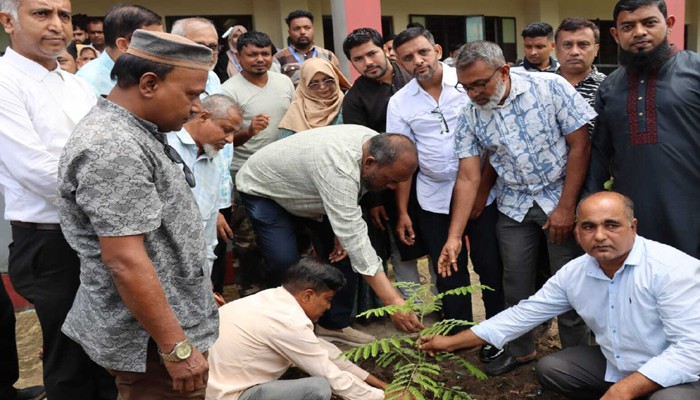 গ্রিন-ক্লিন সিলেট গড়তে বেশি করে গাছ লাগাতে হবে: সিসিক প্রশাসক