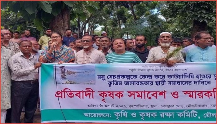 হাওরে কৃত্রিম জলাবদ্ধতার প্রতিবাদে মৌলভীবাজারে কৃষকদের বিক্ষোভ