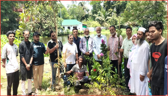 হবিগঞ্জে স্বপ্ন সোসাইটির বৃক্ষ রোপন