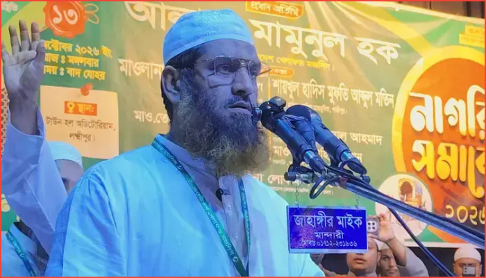 বিএনপিকে হাসিনার ভূতে ধরেছে : মামুনুল হক